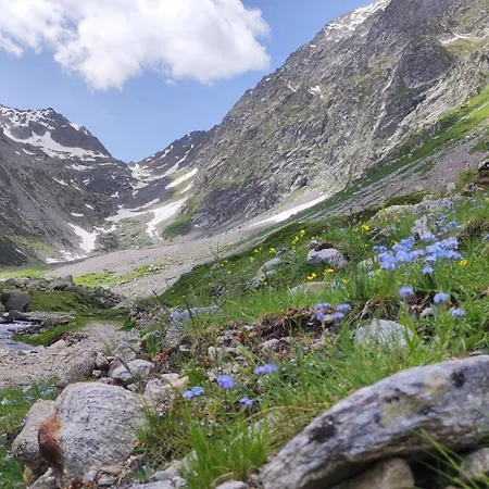 Mizoun Paola Via Roma 9 *